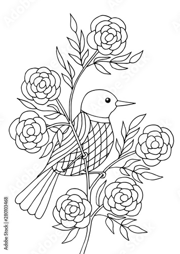 Bird sitting on a branch, coloring page