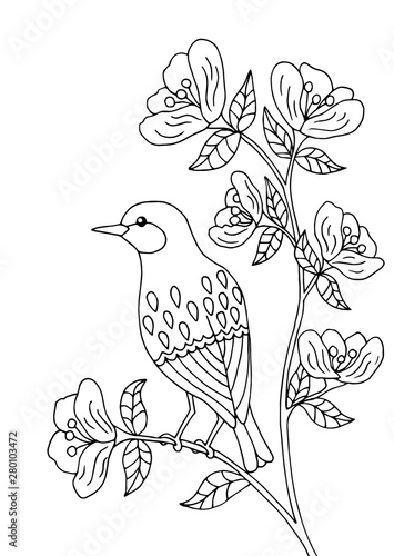 Bird sitting on a branch, coloring page
