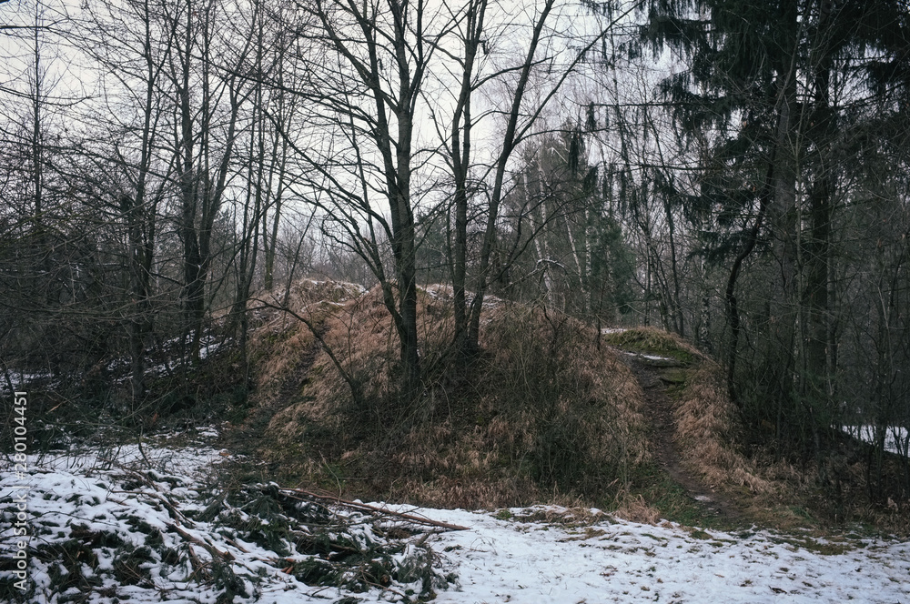 Frosty walk to the small forest around old brickworks Frosty walk to the small forest around old brickworks