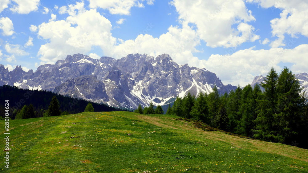 grüne Almwiese gesäumt von Wald und Bergen bei der Nemeshütte in den Dolomiten