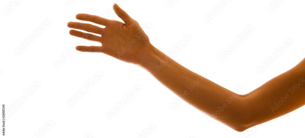 Young woman arm and hand isolated on white background. Part of body.