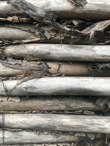 wooden old destroyed tree background