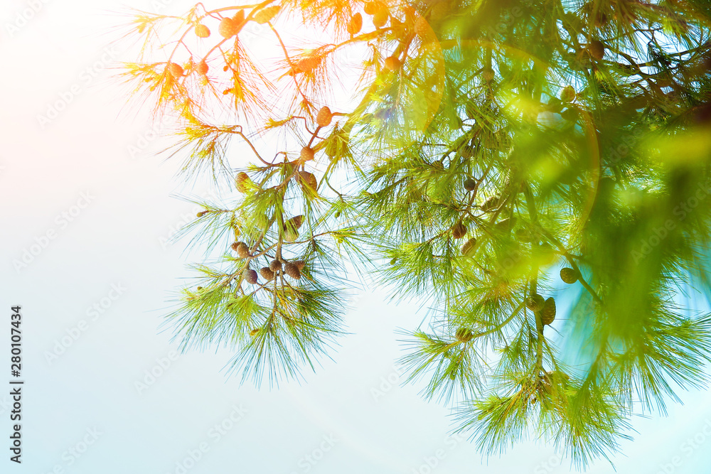 beautiful nature by the sea in greece background beautiful nature by the sea in greece background