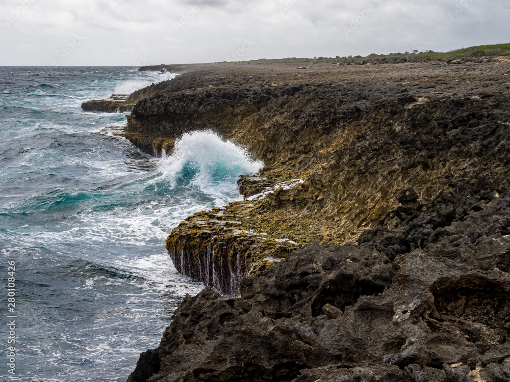 Obraz premium OLYMPUS DIGITAL CAMERA