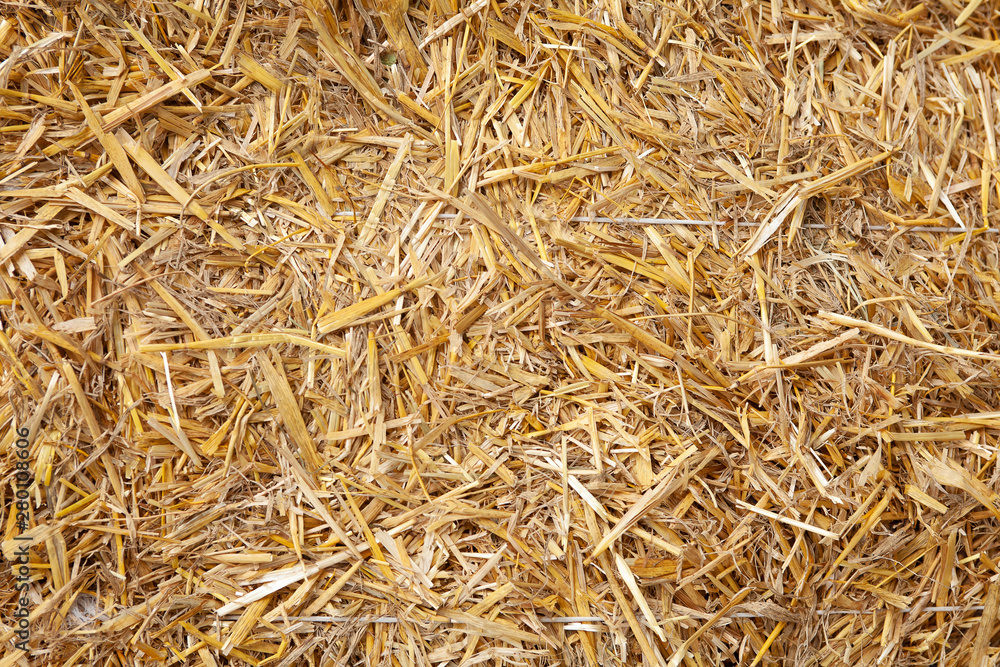 Close up dry straw texture background. Copy space place for text Close up dry straw texture background. Copy space place for text