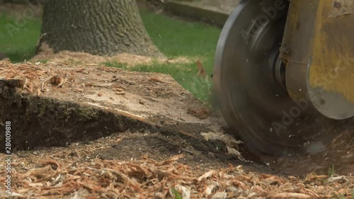 Tree Stump Grinder Close Slow Motion