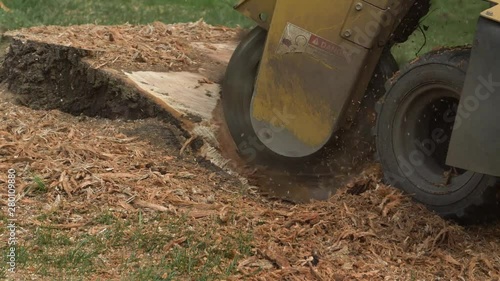 Tree Stump Grinder Side Slow Motion