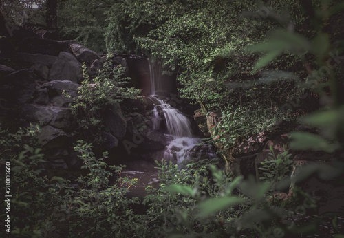 waterfall in forest