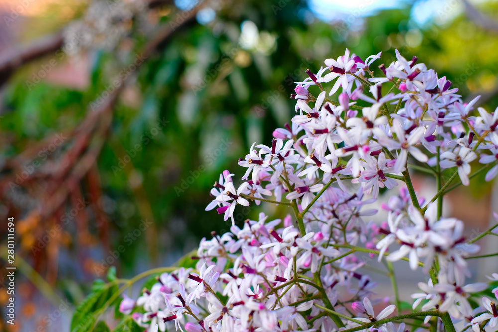 Fine pale putple flowers on soft green floral background. Fine pale putple flowers on soft green floral background.