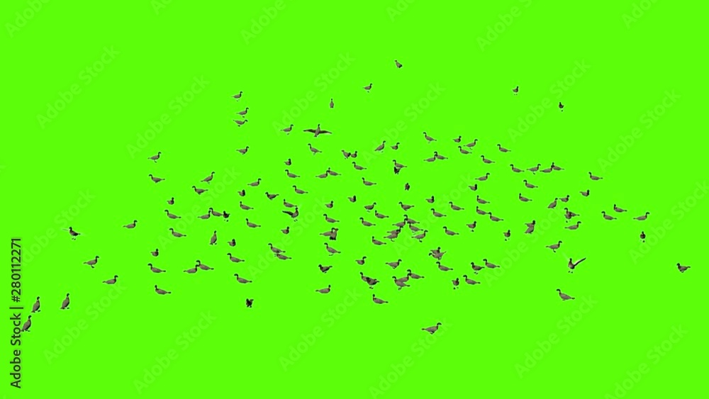 teal rest far green screen teal rest far green screen