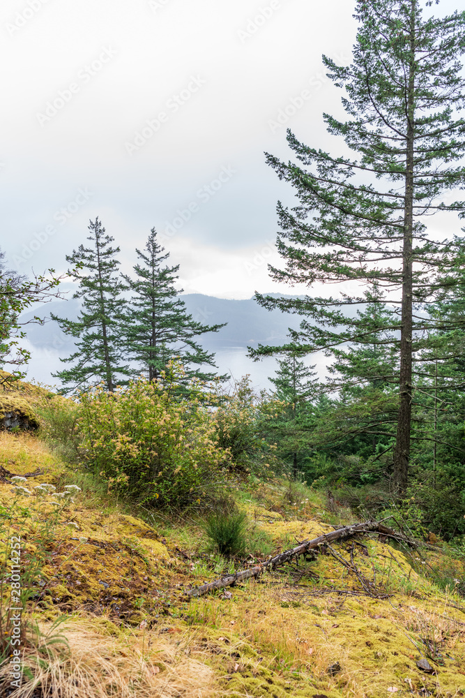 View at Mountain Trail in British Columbia, Canada. Ocean Background. View at Mountain Trail in British Columbia, Canada. Ocean Background.