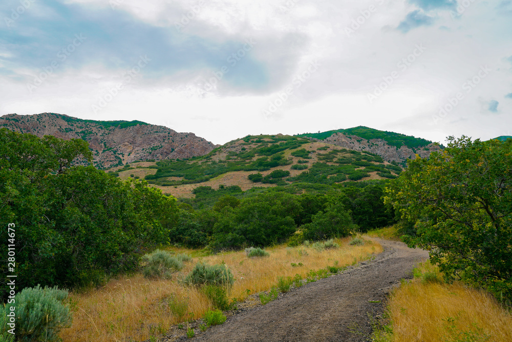 Hills along Waterfall Canyon Trail near Ogden, Utah Hills along Waterfall Canyon Trail near Ogden, Utah