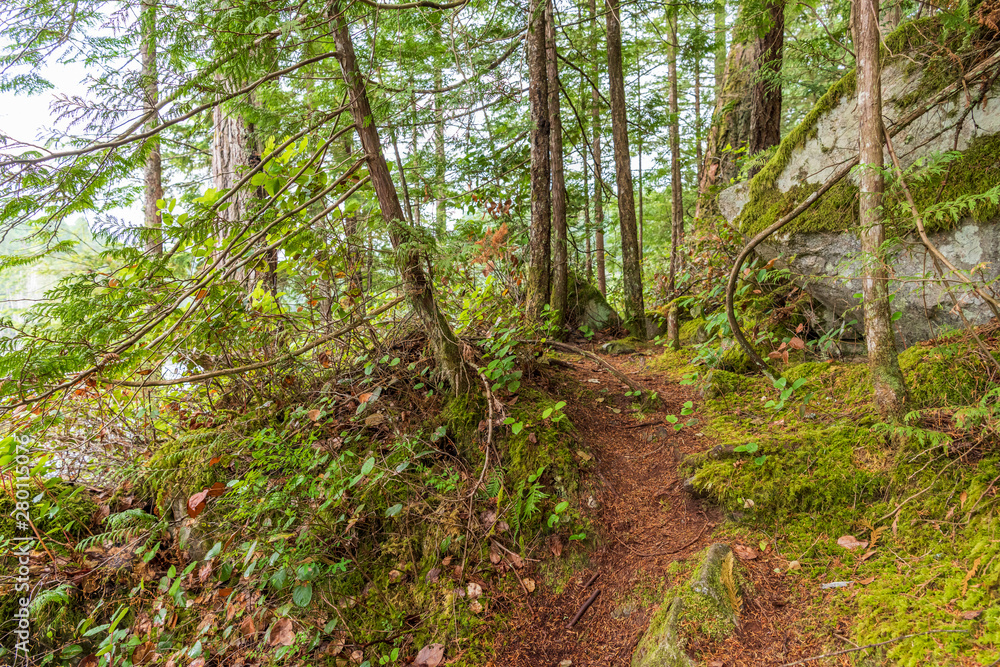 View at Mountain Trail in British Columbia, Canada. Forest Background. View at Mountain Trail in British Columbia, Canada. Forest Background.