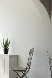 White room interior with cactus plants