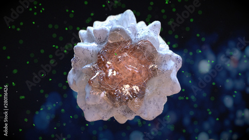 Картината върху платно antigen, presenting, tumor, cell, dendritic cell, immunology, macrophage, biolog