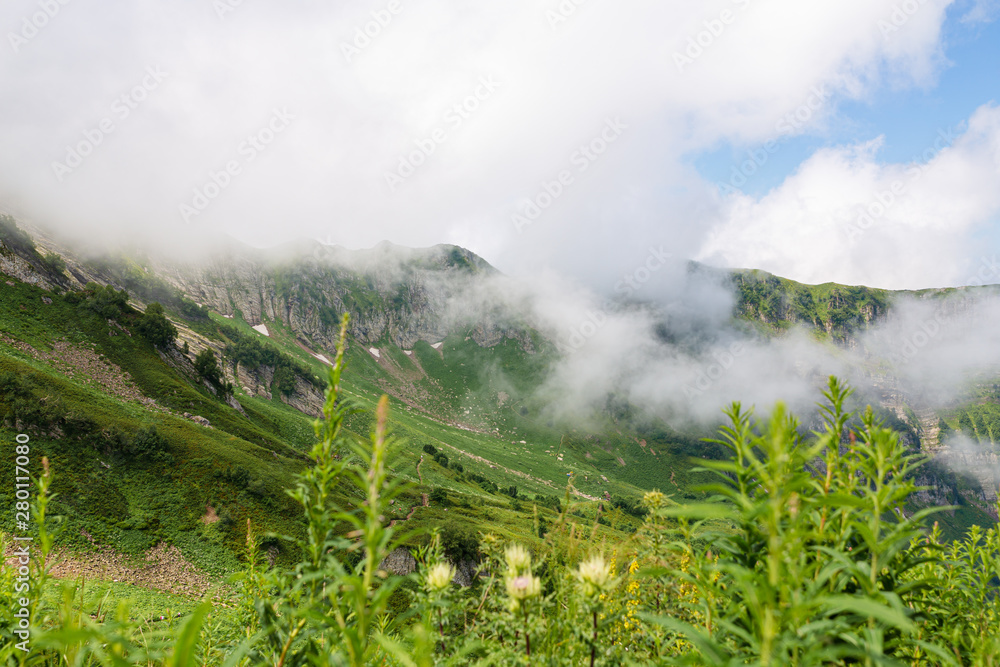 Mountain landscape, mountains in the white clouds, green field under the mountain, blue sky. Green grass on the first plane out of focus. Horizontal image, shallow focus
