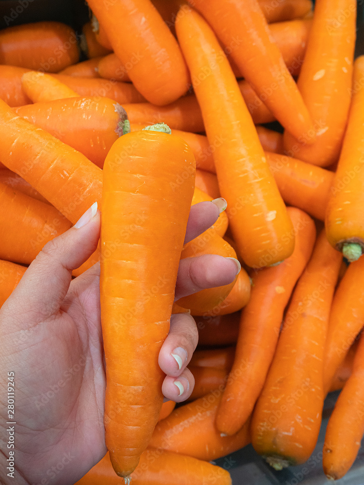 Organic carrot. Food background. Organic carrot. Food background.