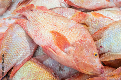 Ruby fish in the fresh market