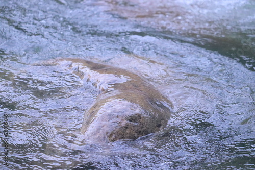 Water flowing over stone