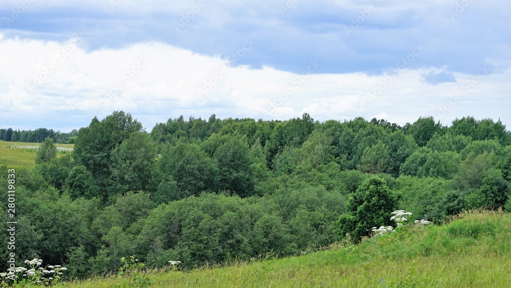 landscape with trees at hills and field flowers and blue sky landscape with trees at hills and field flowers and blue sky