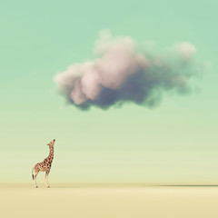 Sierkussen Pistachekleur Giraf kijkt omhoog naar wolk  © Orlando Florin Rosu