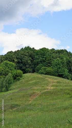 foot path in the hill and forest
