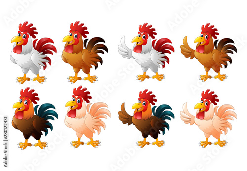 Cartoon funny rooster collection set
