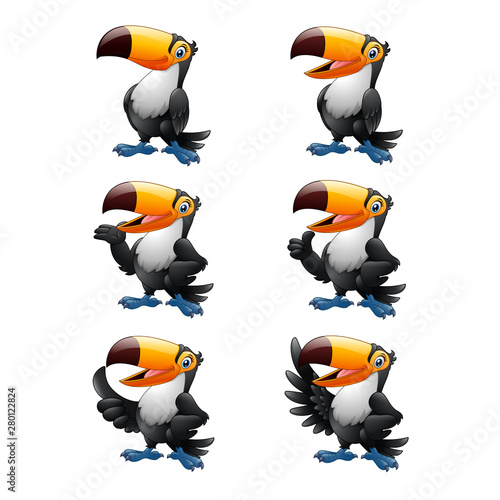 Cartoon funny toucan illustration collections