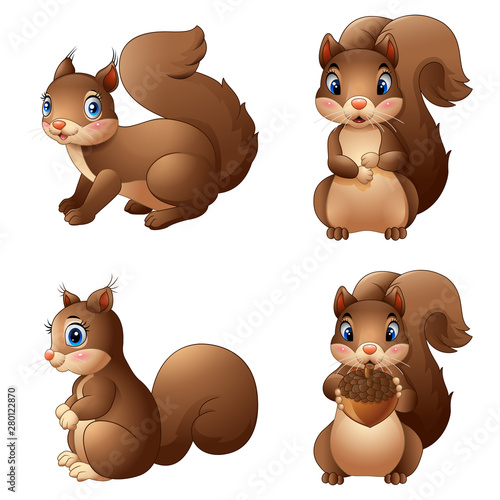 Cartoon cute squirrel posing collections