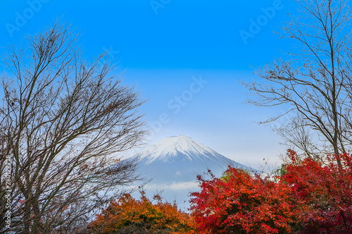 Fuji mountain with maple tree in Autumn, Japan