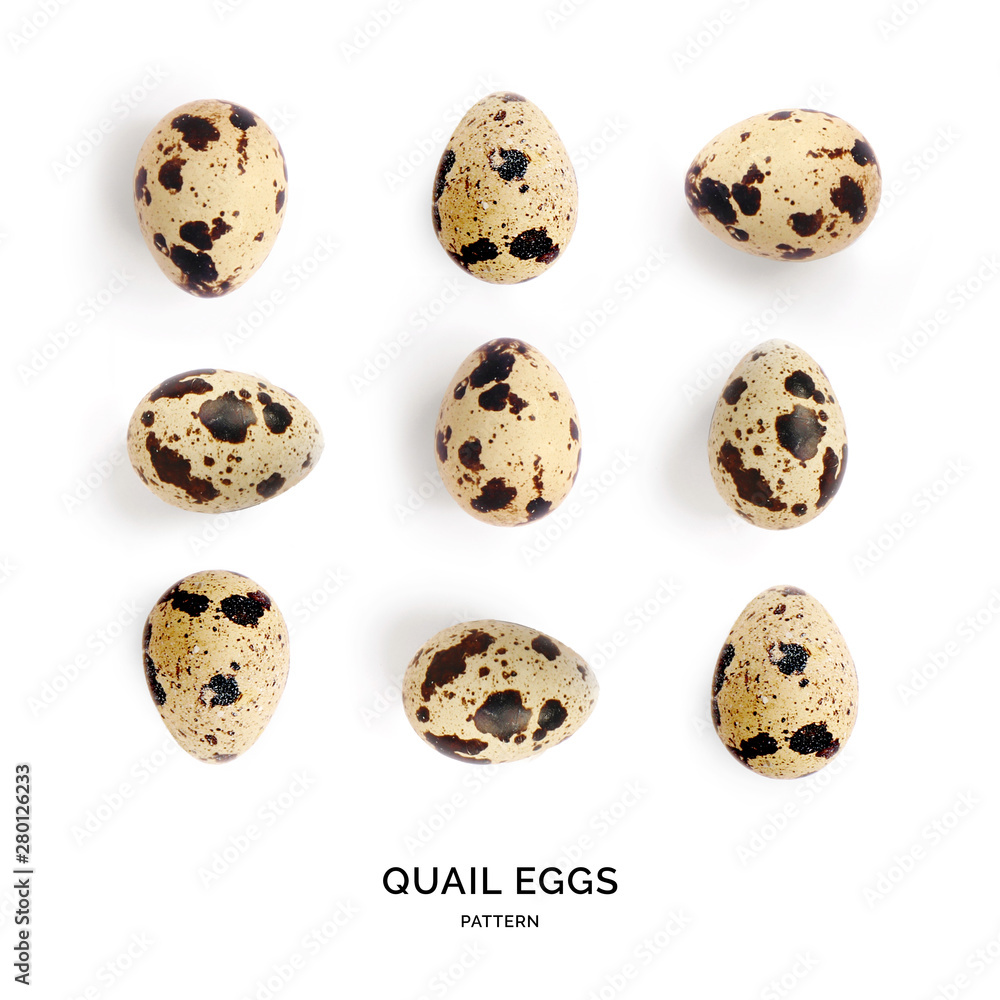 Seamless pattern with quail eggs. Tropical abstract background. Quail egg on the white background. Seamless pattern with quail eggs. Tropical abstract background. Quail egg on the white background.