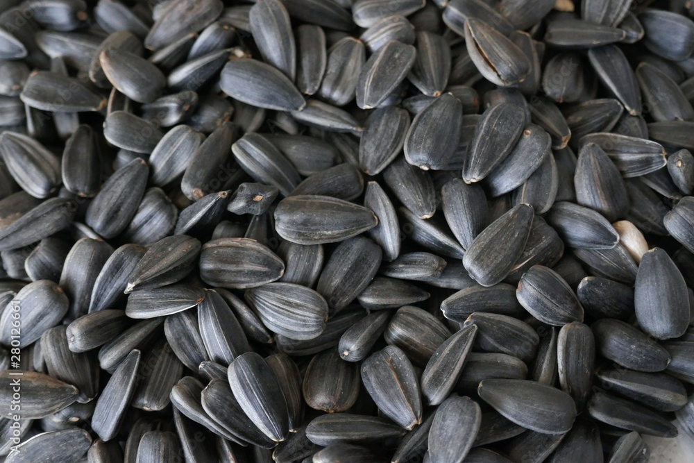 Sunflower Seed close-up background. Roasted Sunflower Seeds Texture.Food background Sunflower Seed close-up background. Roasted Sunflower Seeds Texture.Food background