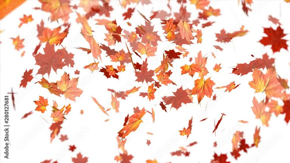 Dreamy leaves swilling and falling in the wind Dreamy leaves swilling and falling in the wind