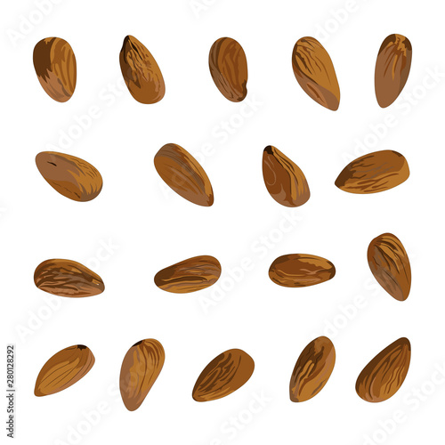 almond nuts. vector set. design element for print, banner, poster