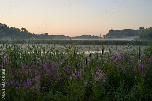 colorful nature landscape, wonderful summer sunrise on the lake,