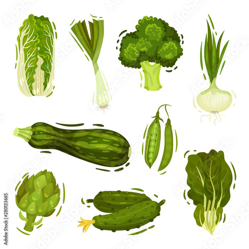 Set of green vegetables and greens. Vector illustration on white background.