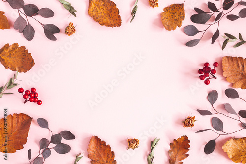 Autumn composition. Frame made of dried leaves, flowers on pink background. Autumn, fall concept. Flat lay, top view, copy space