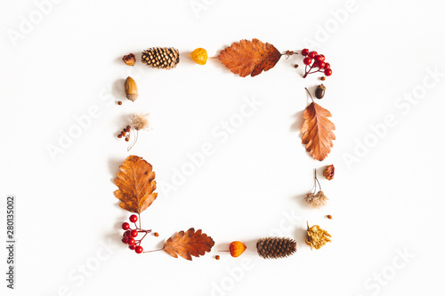 Autumn composition. Dried leaves, flowers, rowan berries on white background. Autumn, fall, thanksgiving day concept. Flat lay, top view, copy space