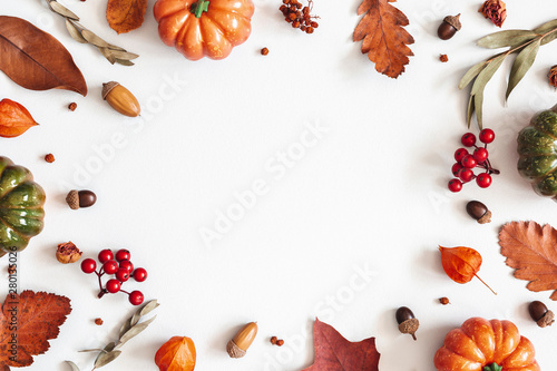 Autumn composition. Dried leaves  pumpkins  flowers  rowan berries on white background. Autumn  fall  halloween  thanksgiving day concept. Flat lay  top view  copy space