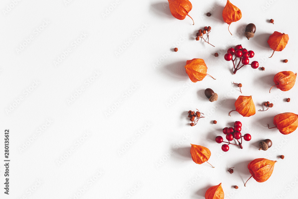 Autumn composition. Physalis flowers, leaves, rowan berries on gray background. Autumn, fall, thanksgiving day concept. Flat lay, top view, copy space Autumn composition. Physalis flowers, leaves, rowan berries on gray background. Autumn, fall, thanksgiving day concept. Flat lay, top view, copy space