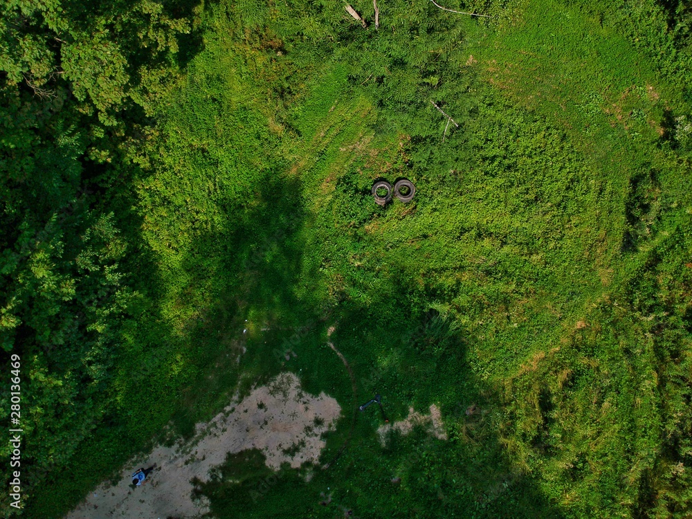 aerial view of forest