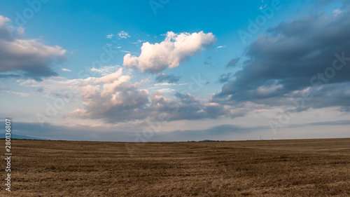 Harvested cereal field panoramic view