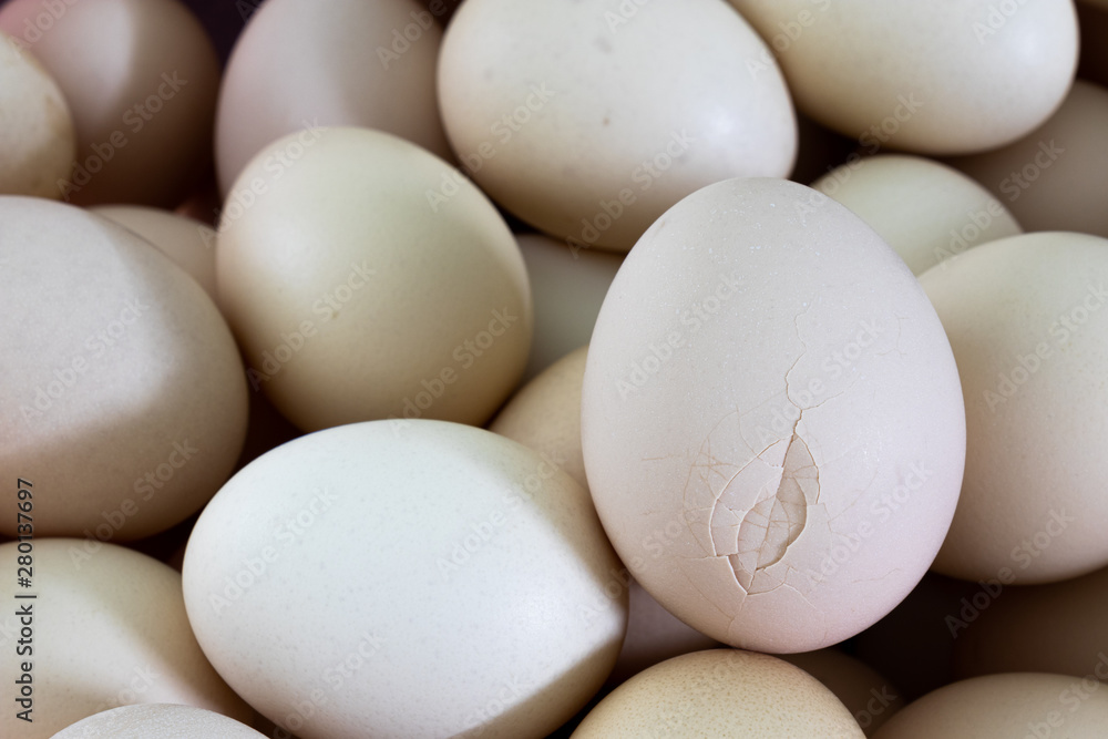 Broken egg shell Broken egg shell