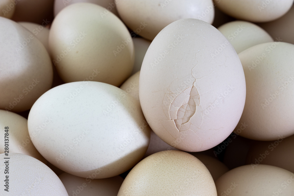 Broken egg shell