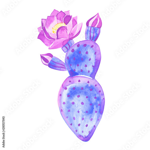 watercolor cactus. Raster illustration. illustration for greeting cards, invitations, and other printing projects. on white background.High resolution.Clipping path included.