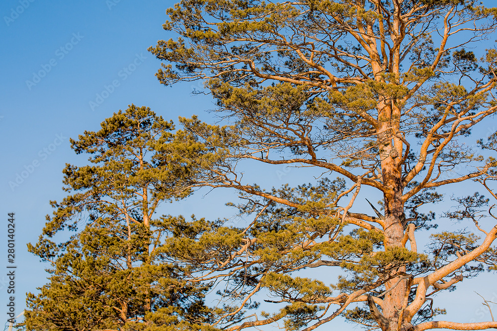 Fototapeta premium Settlement Khuzhir on the west side of the Olkhon Island, Russia