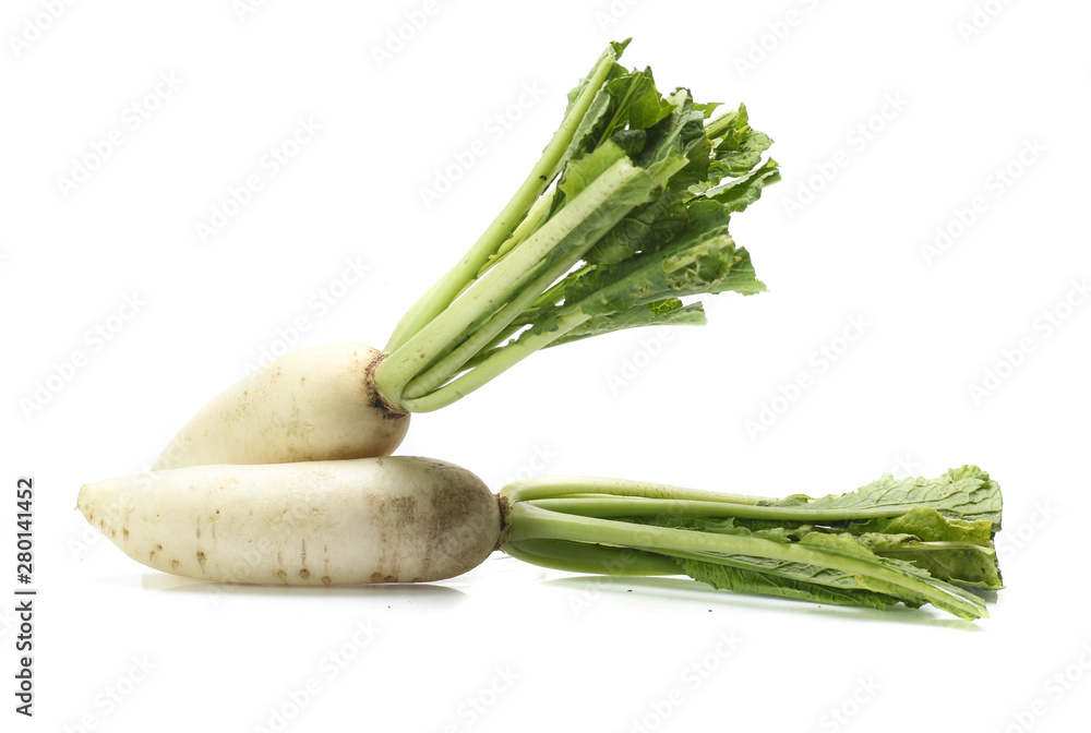 fresh white radish with slices isolated on white background fresh white radish with slices isolated on white background