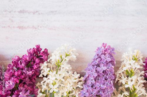 Lilac flowers bunch. Beauty fragrant Lilac Flowers bouquet with Copy space for your text