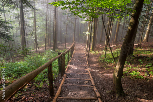 hiking trail in the mountains leading through natural misty forest