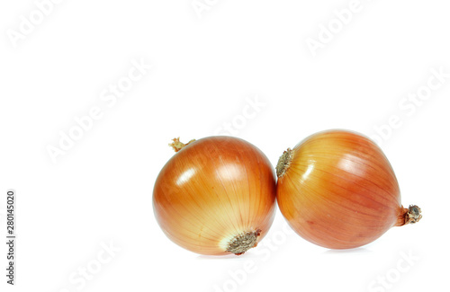 copy spice onions isolated